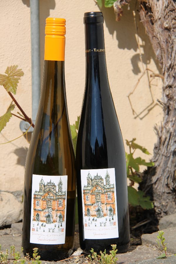 Die neuen Domweine: eine trockene Grauburgunder Spätlese (2013) vom Weyherer Michelsberg und ein trocker, in Barrique ausgebauten Domcuvée (2011) aus St. Laurent, Dornfelder und Frühburgunder